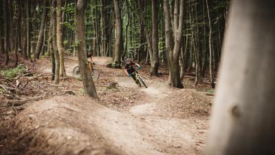 Trailpark Weidlingbach – Flow-Line, mit Zufahrt von der Windischhütte (über Kahlenbergerdorf-Strecke)