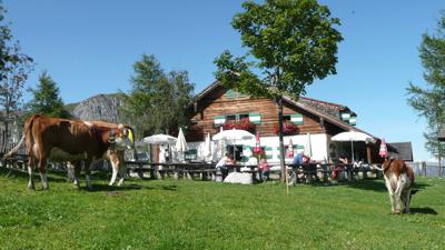 Hike from Werfen to the Mitterfeldalm on the Salzburger Almenweg