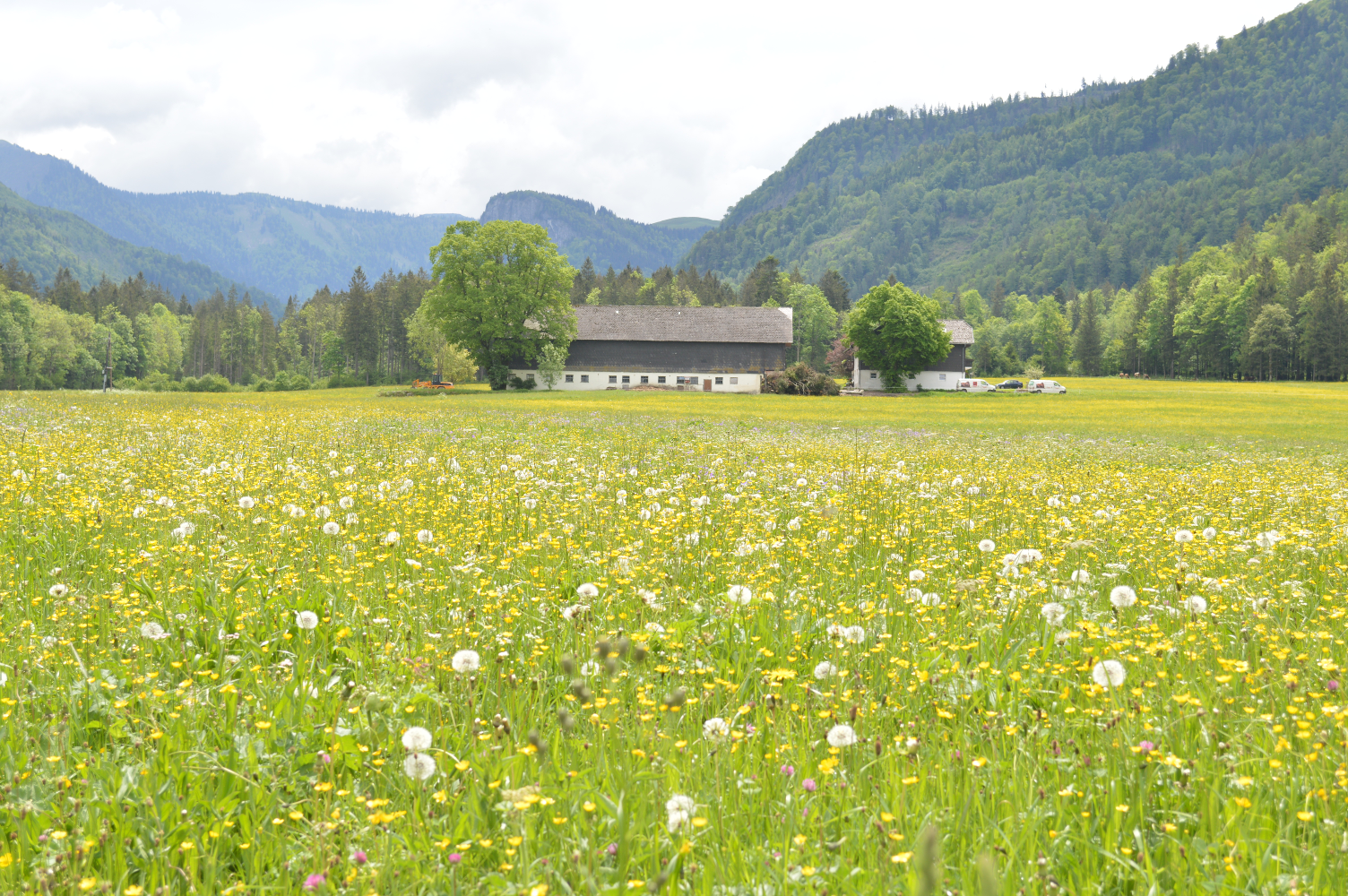 Hintersee Rundwanderweg