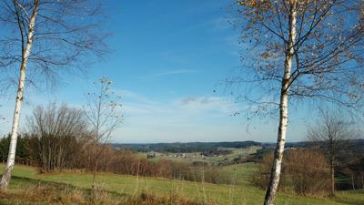 Hochbergweg