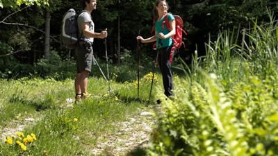 Hochegger Höhenweg