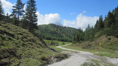 Hochfilzen – Römer Sattel – Vorderkaser