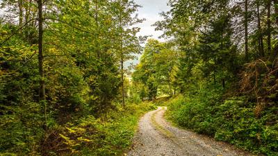 Murlehenweg