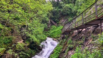 Mühltobelweg und Moosweg