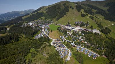 Müllachgeier