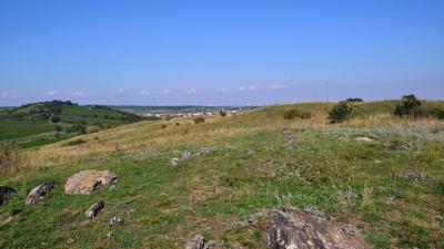 Entdecker Route – Artenvielfalt am Hackelsberg