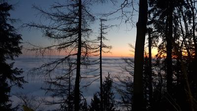 Orte des Glaubens: Wartenfels – Ruine mit Fernblick