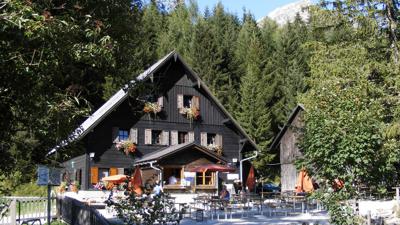 Dr. Vogelgesang-Klamm