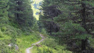 Durch das grüne Wattental zum Mölser Berg