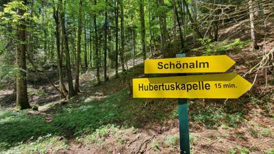 Puch: Schönalm – Rundweg zur Hubertuskapelle (Nr. 12, 4 Punkte)