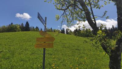 Puch: Wiestal – Rundweg (Nr. 14, 5 Punkte)