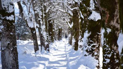 22, 23 | Ortsrundweg über Pöttler- und Alleepromenade