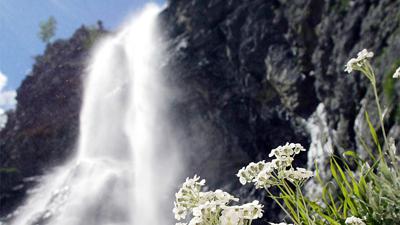 Wienerbruck – Ötschergräben – Vorderötscher – Erlaufklause