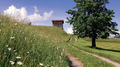 Wiesenweg 6 Oberperfuss