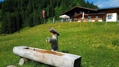 Wildalm-Runde