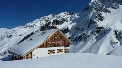 Wildkopf