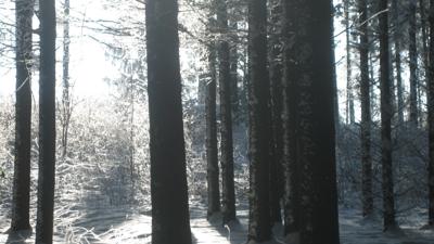 Winter- und Regenwanderweg