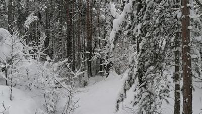 Winterrunde Ochsengarten – Nr. 420