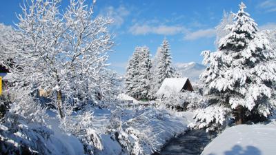 Winterwandern Feistritz Moos