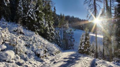 Winterwandern Orts- & Spazierweg “Rohrmoosriedel”