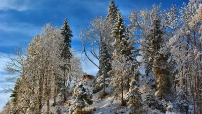 Winterwandern Orts- & Spazierweg „Reith-Gut“