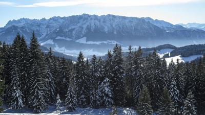 Winterwandern über den Erlerberg