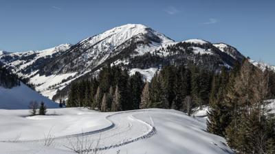 Winterwanderung 31 Panorama Rundweg Streuböden-Runde