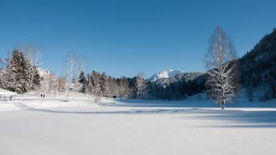 Winterwanderung 32 Lauchseerunde