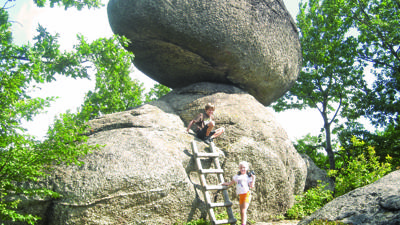 Weg Schwammerling