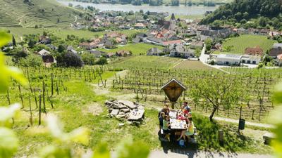 Weingeistweg in Spitz