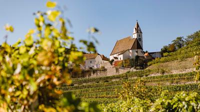Weitwanderweg Kremstal-Donau