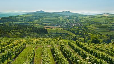Weitwanderweg Kremstal-Donau 04: Paudorf – Hollenburg