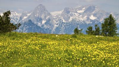 Weißenbachtal – Hutterer Höss