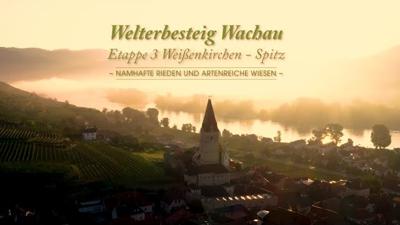 Welterbesteig Wachau 03: Weißenkirchen-Spitz