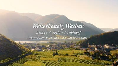 Welterbesteig Wachau 04: Spitz-Mühldorf (Spitzer Graben)