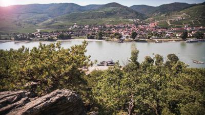Welterbesteig Wachau 11: Hofarnsdorf-Rossatz