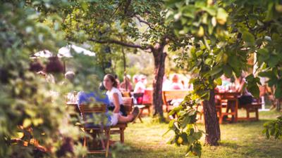 Welterbesteig Wachau 12: Rossatz-Unterbergern