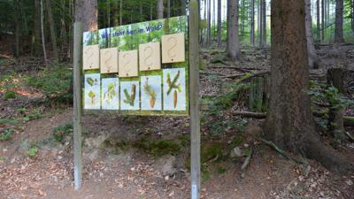 Weltkugel-Wanderweg Nr. 31
