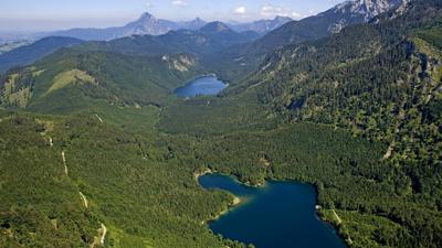 Brunnkogel im Höllengebirge