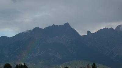 Buchen- und Moosrunde