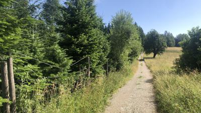 Bäckerberg Rundweg