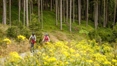 E-MTB-Tour Lärchenwiesenrunde Obsteig