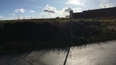 Eichen und Eulen