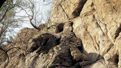Einsiedlerweg und Wildkatzenwanderweg