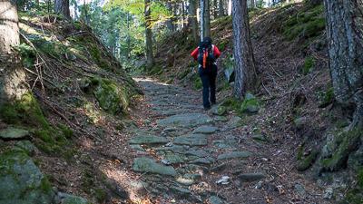 alpannonia – Regionale Route St. Lorenzen