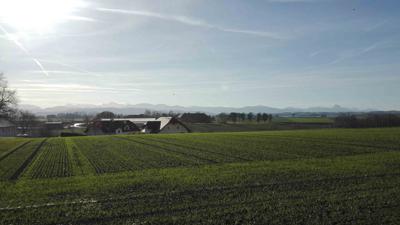12 Waldandacht Rundwanderweg