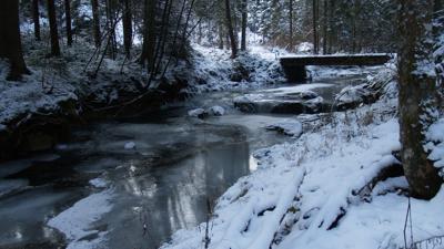 1b Rundweg Klauswald