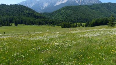 2-tägige Genusswanderung von Puchberg nach Pernitz