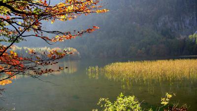 Mitterbergweg in Gmunden