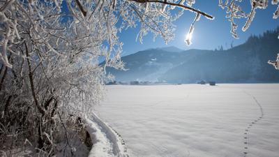 Mittersill: Winterwandern Salzachdammrunde